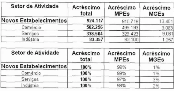 Gráfico 6 — Distribuição  das  MPE's  em Santa Catarina: por 