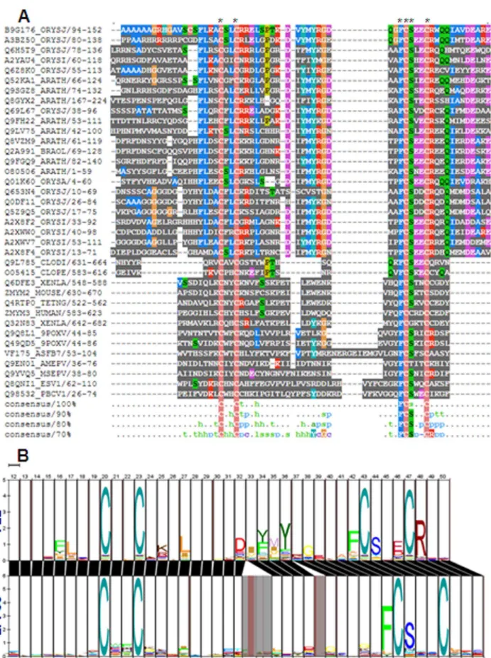 Figure 1. Alignment between FLZ and zf-FCS domain. (A) Multiple sequence alignment between FLZ and zf-FCS domains