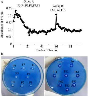 Figure  4.  Sephadex-G75 chromatography profile and gelatin zymogram  result.