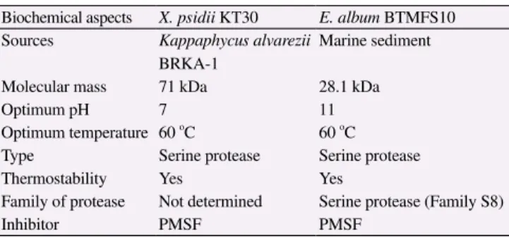 Figure  8. Determination of kinetic parameters of extracellular protease X. 