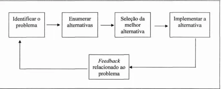 Figura  4: 0 processo  de tomada de  decisão 