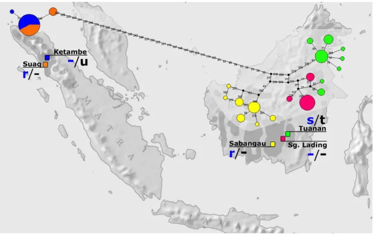 Table 1. Orang-utan site information.