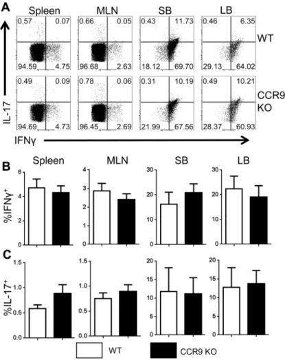 Fig 5. Deficiency in CCR9 does not affect Th1 or Th17 cell populations in vivo.