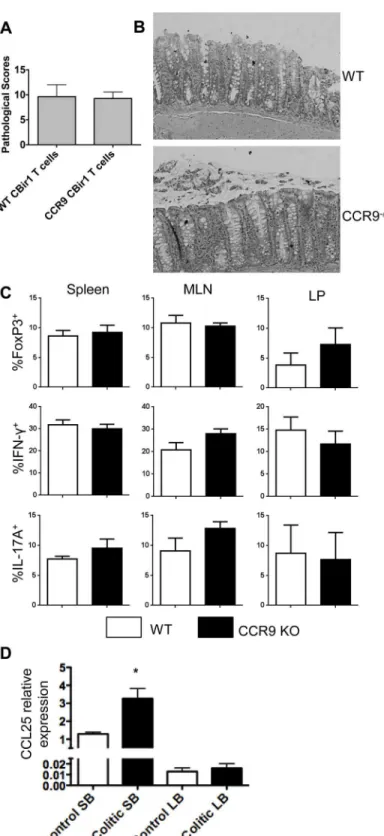 Fig 1. CCR9 deficiency in effector T cells does not affect colitis development.