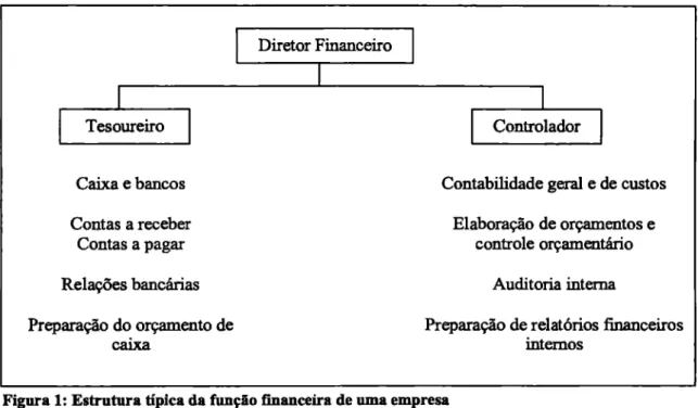Figura  1:  Estrutura   típica   da   função   financeira  de uma empresa  Fonte:  Sanvicente (1987) 