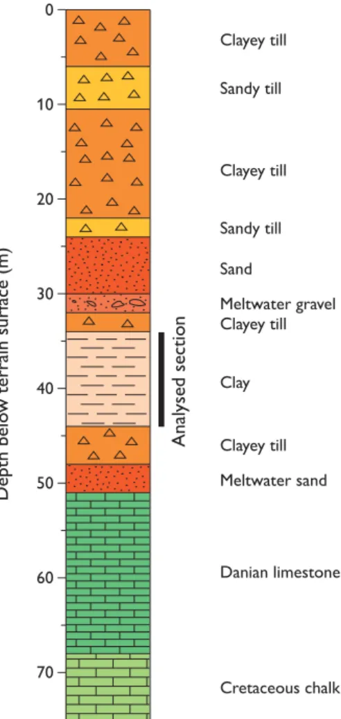 Fig. 2. Lithological log of core DGU 200.5351 from Måløv.