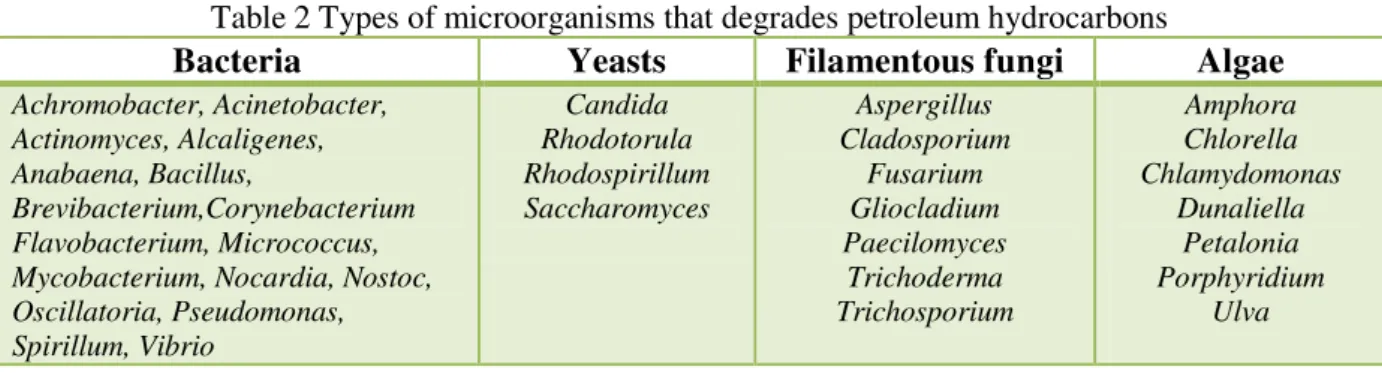 Table 2 Types of microorganisms that degrades petroleum hydrocarbons 
