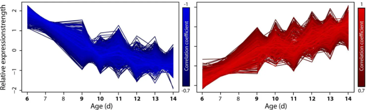 Figure 3. Age-related profiles of continuously down- or up-regulated genes. The Pearson correlation coefficient for each profile was determined