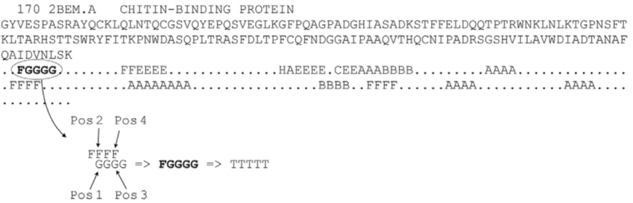 Figure 6. Assignment scheme used to train the b-turn-P method. Figure 6 is illustrating the assignment scheme used to train the b-turn-P method for an example protein sequence with PDB-identifier 2BEM.A