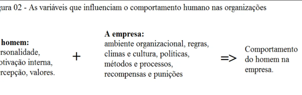 Figura 02  –  As variáveis que influenciam o comportamento humano nas organizações   Fonte  –  Knapik (2008, p