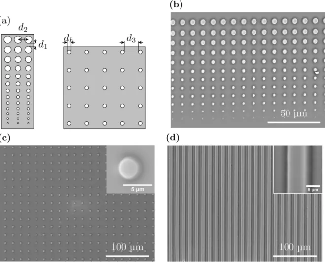 Fig 1. (a): The patterns on the photolithography masks used to produce PDMS stamps. The first pattern (left) consisted of 13 circular holes of diameter increasing from 0.8 μm to 4.4 μm on an opaque background