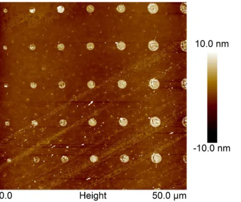 Fig 4. Tapping mode AFM height topographs of PD printed on PEGylated glass.