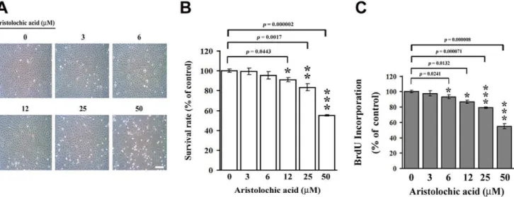 Figure 1. The effect of aristolochic acid on cell growth of NRK-49f cells. NRK-49f cells were treated with 0, 3, 6, 12, 25 and 50 mM of AA for 48 h