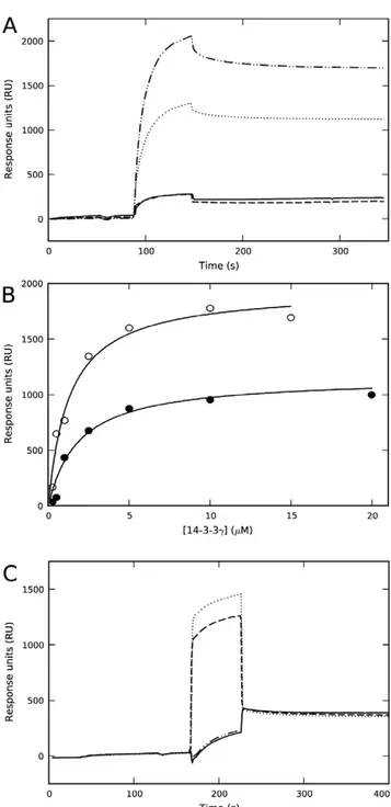 Figure 1. Effect of phosphopeptide ligand and kosmotropic salts on the binding of 14-3-3c to negatively charged membranes