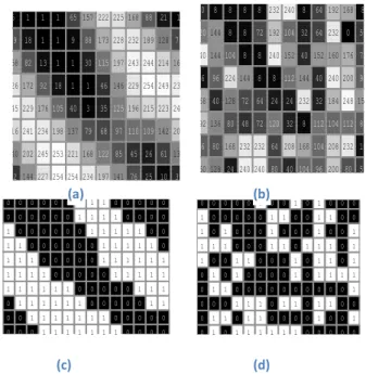 Figure 4 left Column figures (a and c) are the respective  original gray and binary pixel values of an image before  shifting; right column figures (b and d) are their N-bit shifted  gray and binary pixel images  respectively