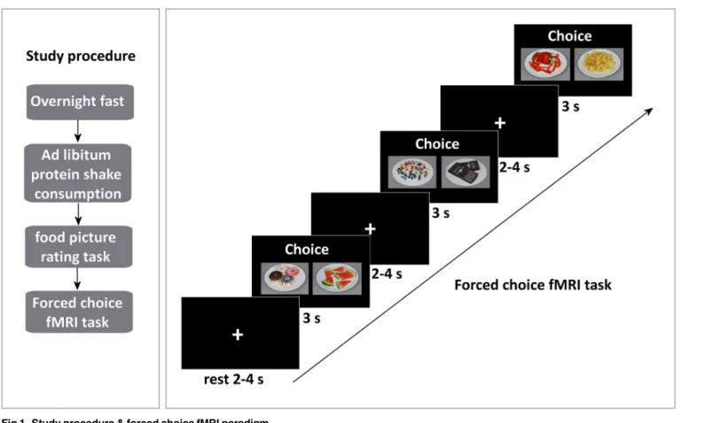 Fig 1. Study procedure &amp; forced choice fMRI paradigm.