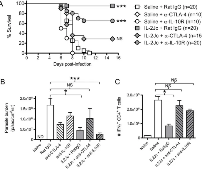 Figure 8. IL-2Jc-mediated protection against ECM is dependent on CTLA-4 more than IL-10
