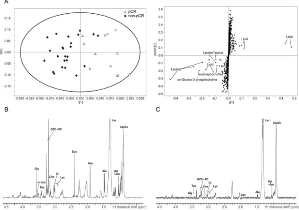 Figure 2.  OPLS-DA score and loading S-plot of the HR-MAS MR spectra for differentiating pCR from non-pCR