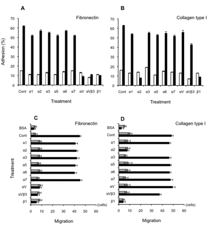 Figure  9.    Adhesion  and  motility  of  differentiated  cells  on  collagen  type-I  and  fibronectin
