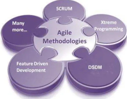 Fig. 2. Agile software development methodologies  
