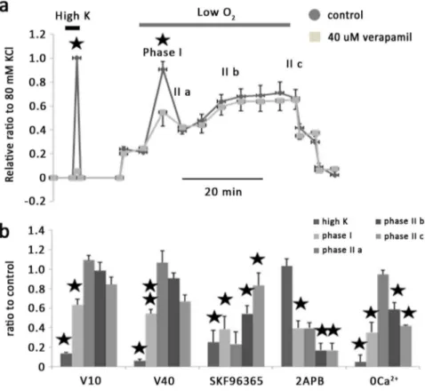 Figure 2. Effects of 40 mM verapamil on hypoxia induced vessel contraction in IPAs. a