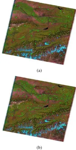 Figure 1. Test image and the distribution of GCPs (a) and  checkpoints (b). 