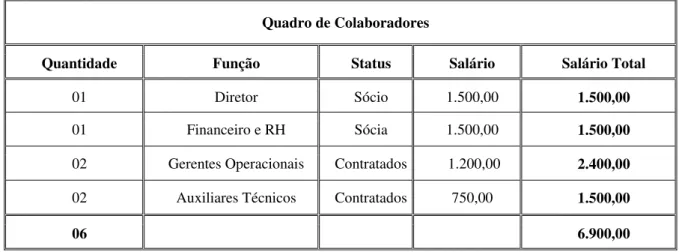 Ilustração 3: Quadro de colaboradores   Fonte: Dados primários (2009). 