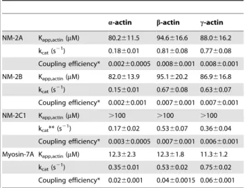 Table 2. Motility rates of NM-2 and actin isoforms.