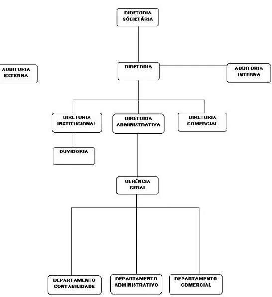 Figura 1 – Estrutura organizacional 