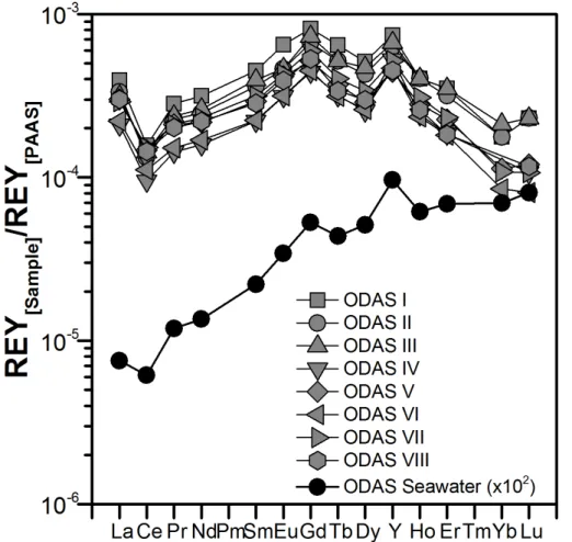Figure 3. PAAS-normalized REY in the ODAS seawater and M.edulis shells from the ODAS site.
