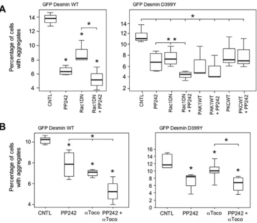 Fig 8. Autophagy inducers and antioxidants cooperate to reduce aggregation in C2C12 myoblasts.