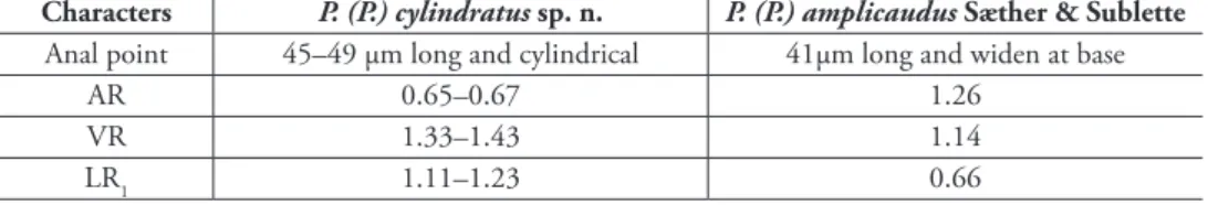 table 4. Main diferences between P. (P.) cylindratus sp. n. and P. (P.) amplicaudus Sæther &amp; Sublette (1983).