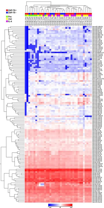 Fig 1. Hierarchical clustering analysis on the 129 miRNAs expressed in CLL using all the CLL samples
