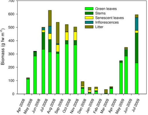 Fig. 2. Seasonal variation in biomass of fresh matter of different tissues of ryegrass