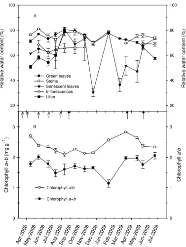 Fig. 3. Seasonal variations in tissue relative water content (A) and leaf chlorophyll and chloro- chloro-phyll a/b ratio (B) in different tissues of ryegrass