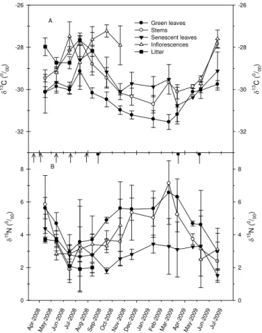 Fig. 7. Seasonal variations in δ 13 C (A) and δ 15 N (B) in different tissues of ryegrass.