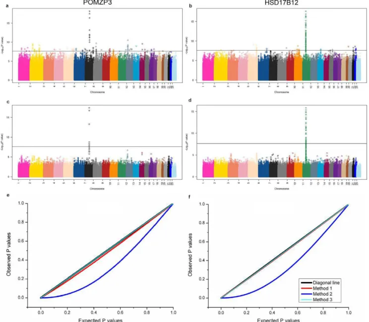 Figure 2. Manhattan plots for the genome-wide eQTL analysis of two genes POMZP3 and HSD17B12; Quantile-quantile (QQ) plots to compare the distributions between expected and observed p-values