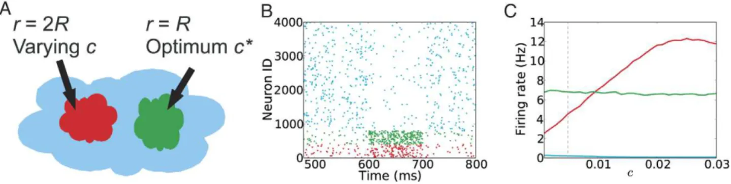 Figure 6. Both firing rate and input correlations affect the competition between two MSN groups