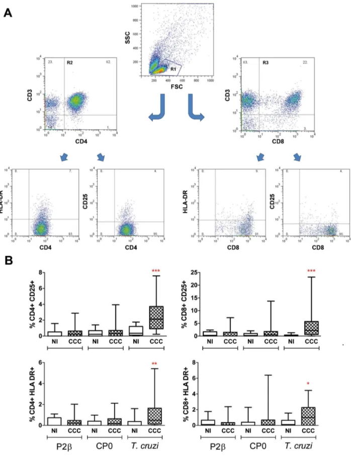 Figure 3. Activation markers on CD4+ and CD8+ T cell subsets upon T. cruzi and ribosomal protein activation