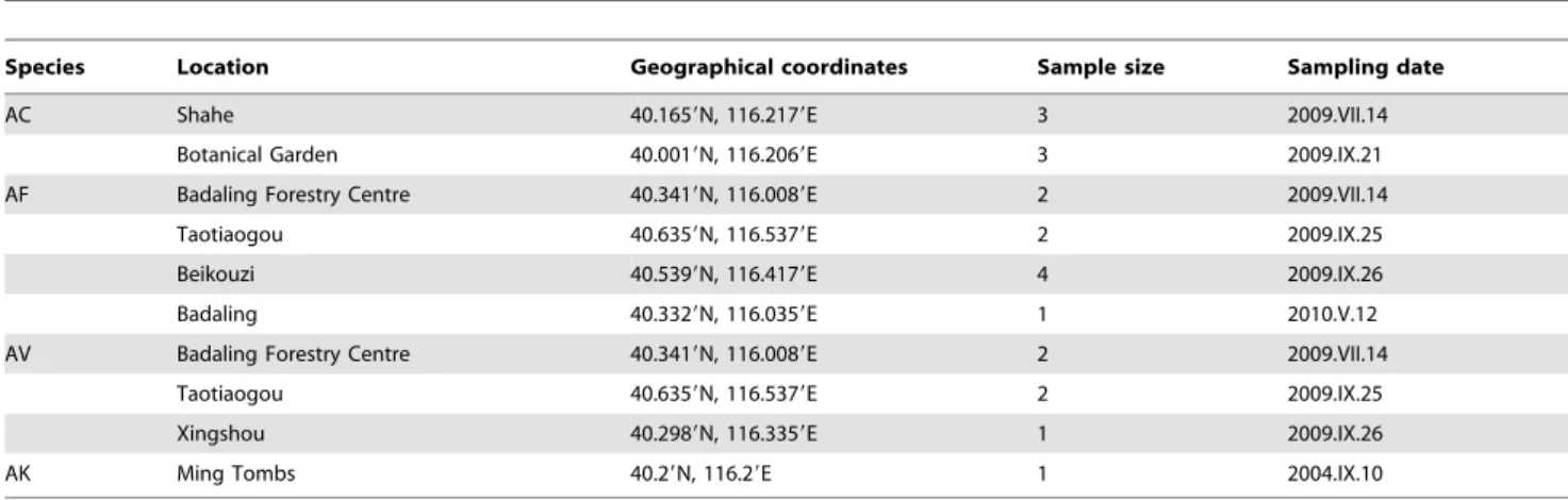 Table 1. List of specimens and collecting data for beetle phylogenetic study.