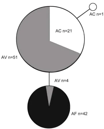Figure 4. Statistical parsimony networks for Wolbachia surface protein gene ( wsp ) from three Altica species