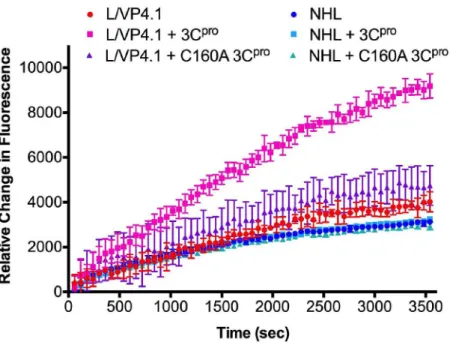 Fig 5. Stability of L/VP4.1 fluorescently quenched peptide in human plasma. Data points represent the average relative fluorescence units (RFUs) increase of four replicates at each time point relative to fluorescence at time zero for L/VP4.1 FQ peptide or 