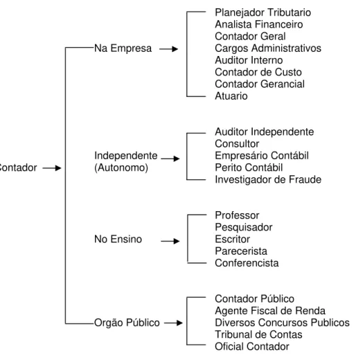 Figura 1: Visão Geral da Profissão Contábil  Fonte: Adaptado de Iudicibus e Marion (1999, p