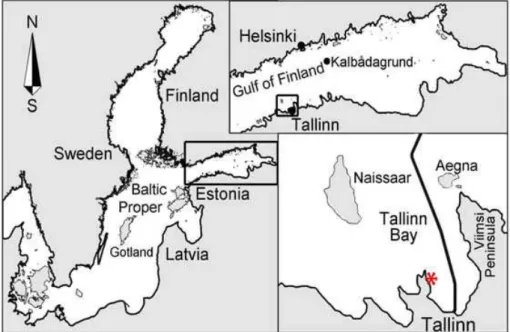 Fig. 1. Location scheme of the Baltic Sea and the study site.