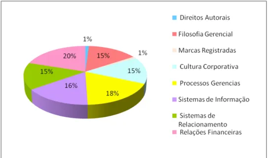 Gráfico 10: Elementos de Capital Interno – Ano 2007  Fonte: Elaboração própria. 