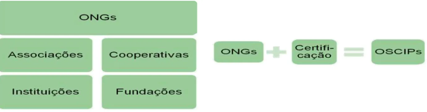 Figura 2: Esquema de caracterização de ONGs e OSCIPs  Fonte: Elaborado pelo autor 