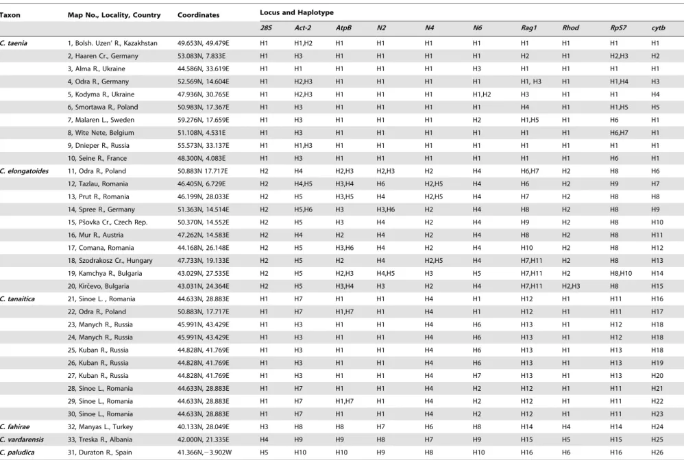 Table 2. Spined loaches (Cobitis) used in this study.