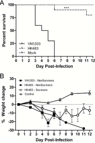 Figure 1. VN1203 was more lethal than HK483 in ferrets despite similar weight loss in non-survivors