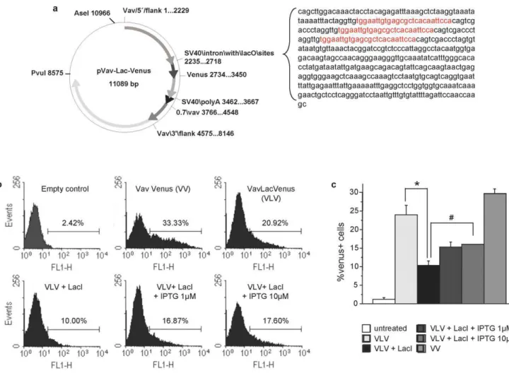 Figure 1. Generation of an IPTG-responsive version of the Vav -transgenic vector. (a) Schematic representation of the modified VavP HS21/