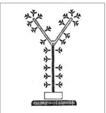 Figura XLIV - Terminal Central com “Píer-Finger” extenso ou Satélites Remotos de grandes proporções.